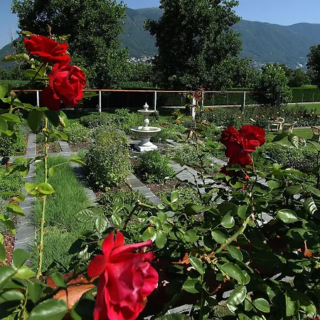 Castello Del Sole Resort&spa 5* Аскона