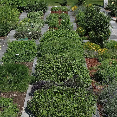 Castello Del Sole Resort&spa Аскона