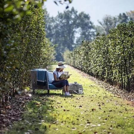 Castello Del Sole Resort&spa Аскона
