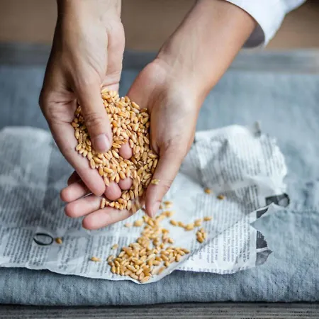 Castello Del Sole Resort&spa 5* Аскона