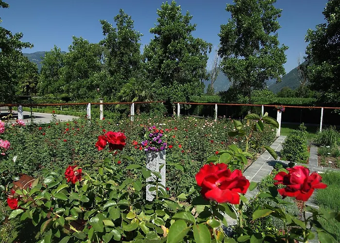 Castello Del Sole Resort&spa Ascona