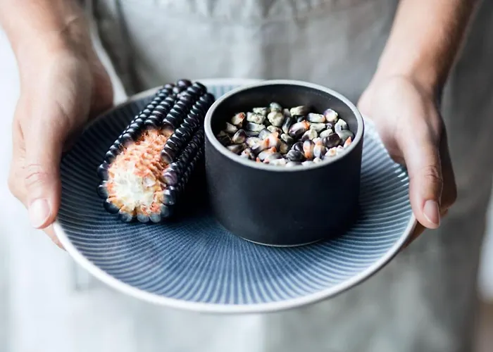 카스텔로 델 솔 비치 리조트&스파 호텔 아스꼬나