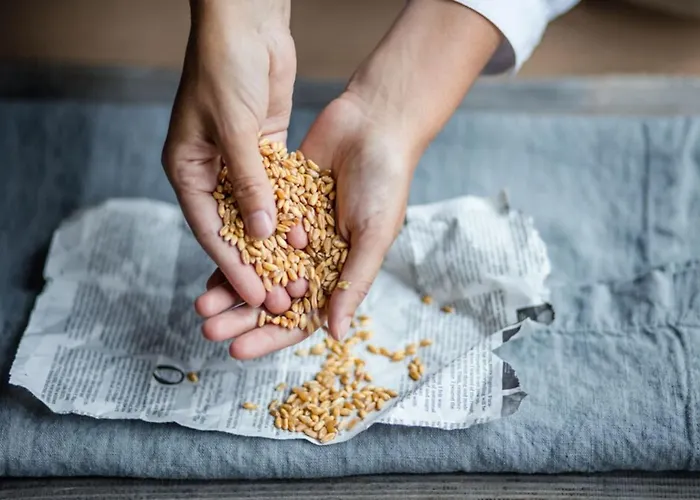 카스텔로 델 솔 비치 리조트&스파 5* 아스꼬나