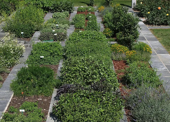 Castello Del Sole Resort&spa Аскона