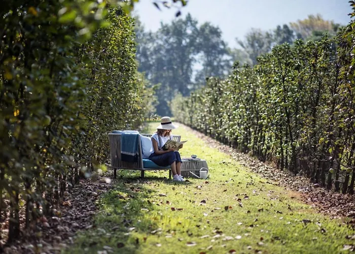Castello Del Sole Resort&spa Аскона