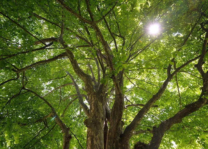 Hotel Castello Del Sole Resort&spa 5*